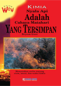 Image of Kimia Nyala Api Adalah Cahaya Matahari yang Tersimpan
